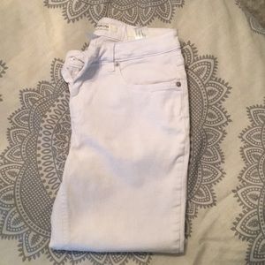 Jones New York Capri